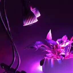 Настільний світлодіодний фітосвітильник X-LED 24Вт - мініатюра 2