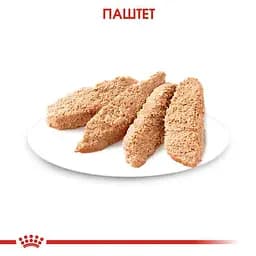 Вологий корм для кошенят Royal Canin Kitten Loaf паштет 85 г - мініатюра 6