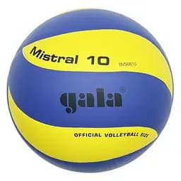 Мяч волейбольный тренировочный Mistral 10 NE-GALA-M10 №5