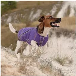 Жилет для собак Pet Fashion E.Vest XS фіолетовий - мініатюра 5