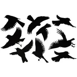 Наклейки для відлякування птахів Bradas малі, 9 шт., 10 аркушів (CTRL-BR001)