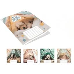 Тетрадь ученическая Leader 959051 Сладкие сны 12 листов 1 шт. в ассортименте