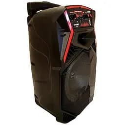 Акустична система XPRO 895 з мікрофоном (MER-15704_2772) - мініатюра 6