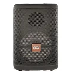 Колонка Big Gedi 892 bluetooth + мікрофон (248х210х386) USB/MP3/FM/BT/TWS black