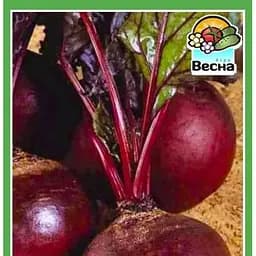 Насіння Весна Буряк Циганочка Новий пакет 2 г (23624)