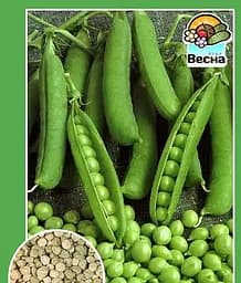 Горох Сладкая гроздья Весна 10 г (24207)