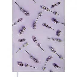 Щоденник недатований Buromax Provence A5 фіолетовий (BM.2066-39)