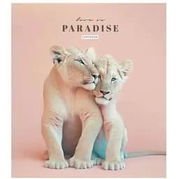 Тетрадь общая Love in paradise Школярик 036-3256L-5 в линию 36 листов