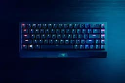 Клавіатура Razer BlackWidow V3 Mini Hyperspeed Yellow Switch (RZ03-03890700-R3R1) RU [68039] - мініатюра 11