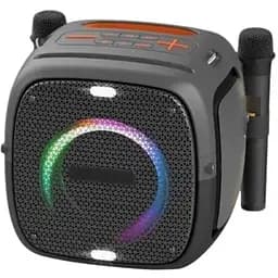 Портативна колонка з 2 мікрофонами XPRO Party ONE 80Вт USB AUX FM Bluetooth чорна (41093-Party ONE)