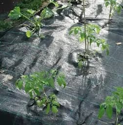 Агротканина Shadow 100 г/м² 1.1 x 50 м АТЧ000012 - мініатюра 4