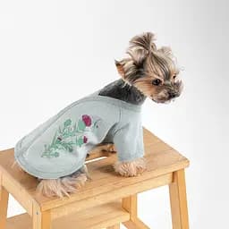 Кардиган для собак Pet Fashion Denis S м’ятний - мініатюра 4