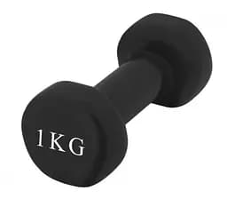 Гантель виниловая PowerPlay 1 кг PP_4121 Черная 1 шт (PP_4121_1kg)