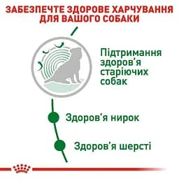 Сухий корм для собак старше 12 років Royal Canin Mini Ageing 12+, 800 г (1007008) - мініатюра 5
