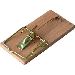 Мишеловка Bros деревянная 10х48х100 см