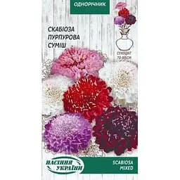 Семена Скабиоза пурпурная Насіння України смесь 0.3 г (801800)