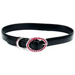 Нашийник для собак Coastal too! Jazzy Jewel (71361_BLK22)