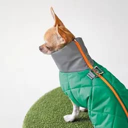 Жилет Pet Fashion Luka для собак, розмір S, зелений - мініатюра 6