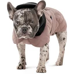 Попона для собак Pet Fashion Max М Такса бежева - мініатюра 2