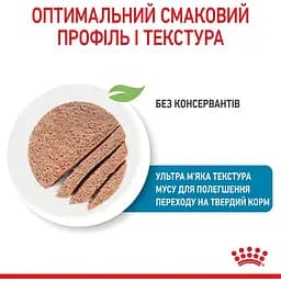 Вологий корм для вагітних собак і цуценят Royal Canin Starter Мother & Вabydog Мousse 2.34 кг (12 шт. х 195 г) - мініатюра 6