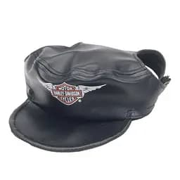 Кепка одежда для собак Coastal hd Skull костал харлей девидсон