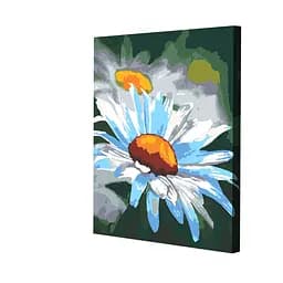 Комплект картин за номерами Riviera Blanca Ромашкове поле (ITR-127) 2 шт в наборі