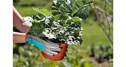 Рукавички для садових робіт Gardena з нітриловим покриттям 8/M - мініатюра 3