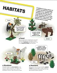 LEGO Animal Atlas - мініатюра 7