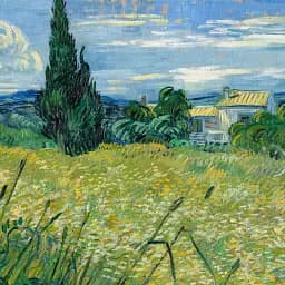 Інтер'єрна картина Зелене пшеничне поле з кипарисом, Ван Гог, Vincent van Gogh, Green Field, інтер'єрний декор, 48×60 см (id3035) - мініатюра 6