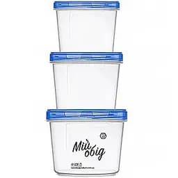 Набір харчових контейнерів з різьбленням Stenson 3 шт. сині (25566)