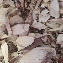 100 г бузина черная корень сушеный - свежий урожай