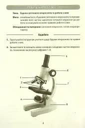 Біологія. 6 клас. Зошит для лабораторних досліджень, практичних робіт та дослідницьких практикумів - мініатюра 3