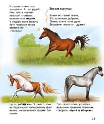Енциклопедія дошкільника: Коні - мініатюра 5