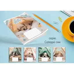 Зошит учнівський Leader 959051 Солодкі сни 12 аркушів1 шт. в асортименті