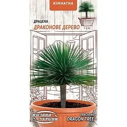 Семена Драцена Драконовое дерево Насіння України комнатная 2 шт. (745900)