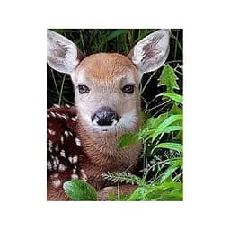 Алмазна мозаїка Strateg Дитинча косулі 30х40 см