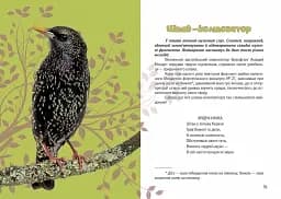 Вусохвості й лапокрилі. Читанка про тварин - мініатюра 7