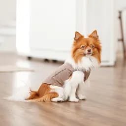Майка-борцовка Kale Pet Fashion для собак М коричнева - мініатюра 4