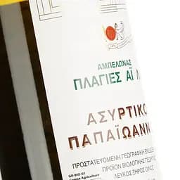 Вино Papaioannou Assyrtiko біле сухе 0.75 л - мініатюра 3