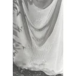 Я еду домой есть шелковицу с дерева