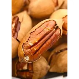 Саджанець Agro-Market Горіх Пекан Майор 4-х річний (морозостійкий, урожайний сорт) 1 шт. в упаковці (184436)