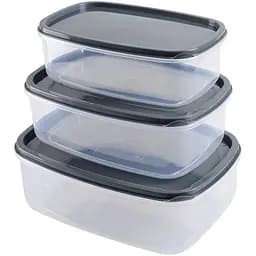 Набір контейнерів Violet House з кришкою 3 шт. (0495 ANTRACITE  прям. наб. BIG)