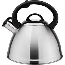 Чайник Zauberg 3 л серебристый (000033804)