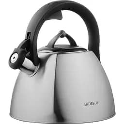 Чайник Gemini 2.5 л сірий нержавіюча сталь