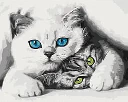 Картина по номерам на подрамнике Brushme Муркотики