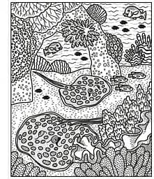 Розмальовка Coral Reef Magic Painting Book - Abigail Wheatley, англ. мова (9781474994743) - мініатюра 4