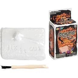 Розкопки Скарби в гіпсовій оболонці