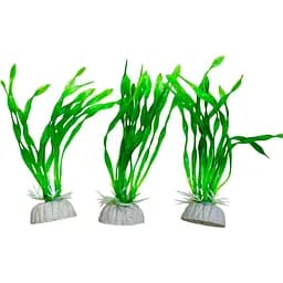 Рослина для акваріуму Китай 11 см зелена