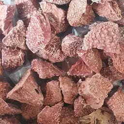 100 г ирис желтый болотный/касатик/петушок аировидный корень сушеный - свежий урожай