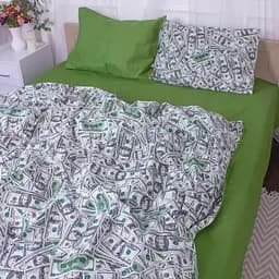 Простыня MirSon 17-0589 Dollars Бязь 220х150 см зеленая